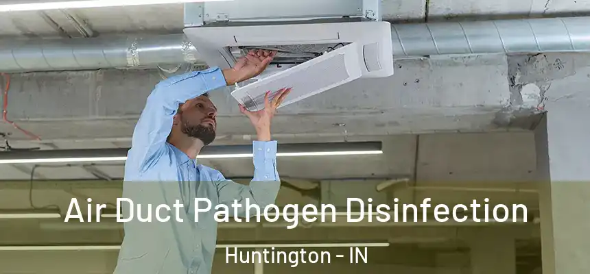 Air Duct Pathogen Disinfection Huntington - IN