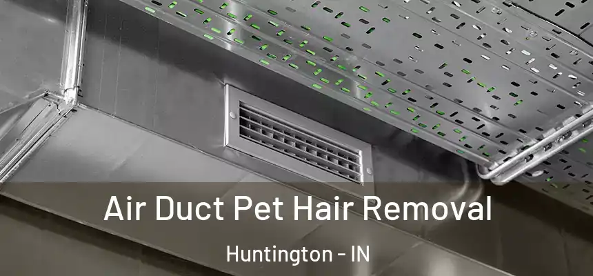  Air Duct Pet Hair Removal Huntington - IN