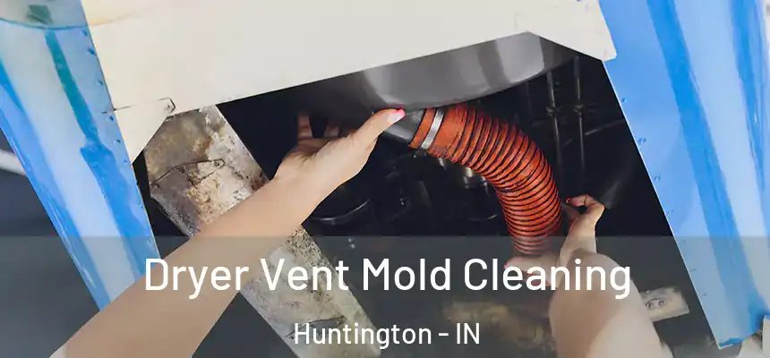 Dryer Vent Mold Cleaning Huntington - IN