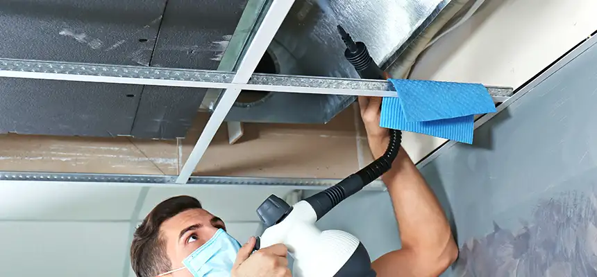 Our Air Duct Rodent Removal Services in Huntington, IN