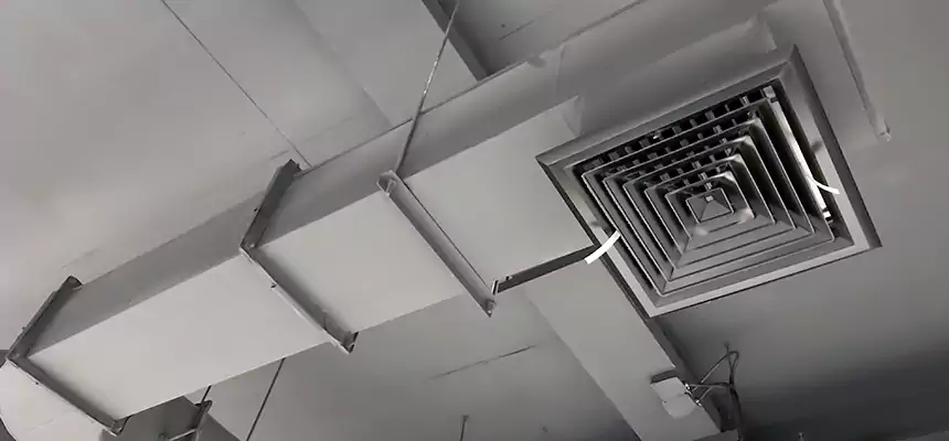 Our Pest Removal From Ducts Services in Huntington, IN