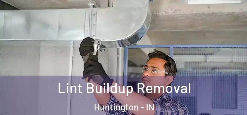 Lint Buildup Removal Huntington - IN