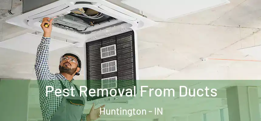 Pest Removal From Ducts Huntington - IN