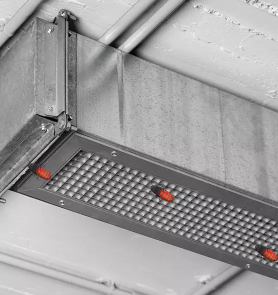 About Air Duct Cockroach Removal in Huntington, IN