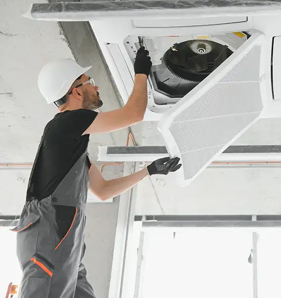 About Air Duct Rodent Removal in Huntington, IN