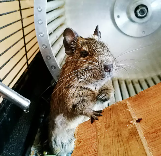 Why Homeowners & Businesses Trust Us Huntington, IN?